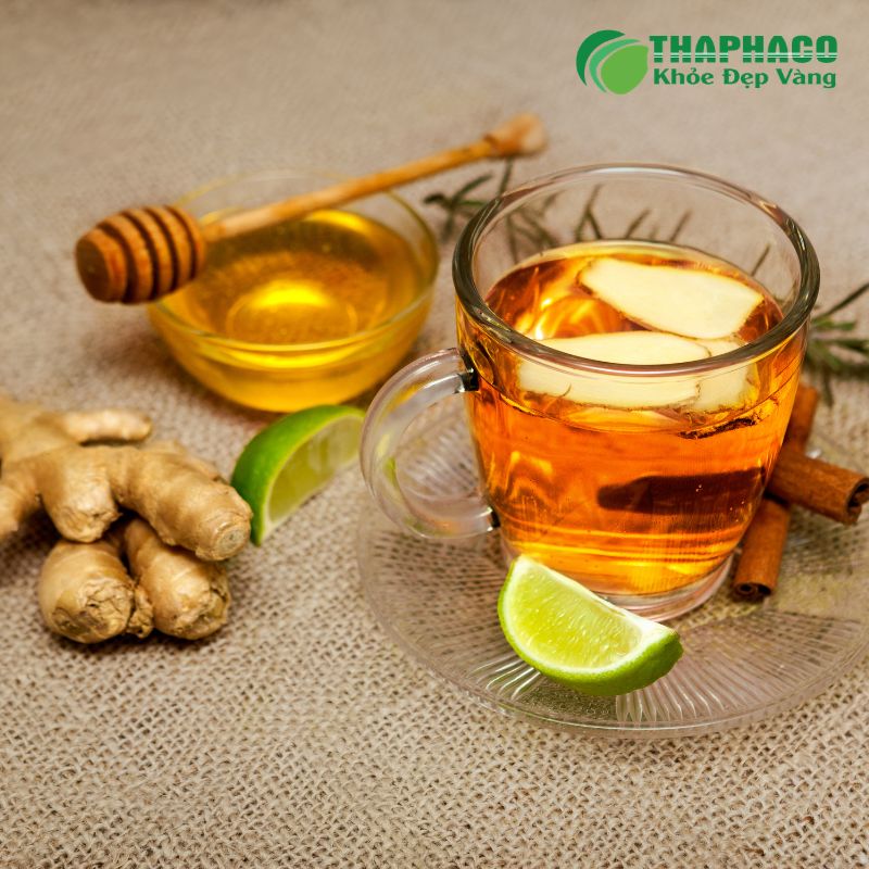 Hướng Dẫn Sử Dụng Dược Liệu Thaphaco Giảm Ho Kéo Dài An Toàn, Hiệu Quả
