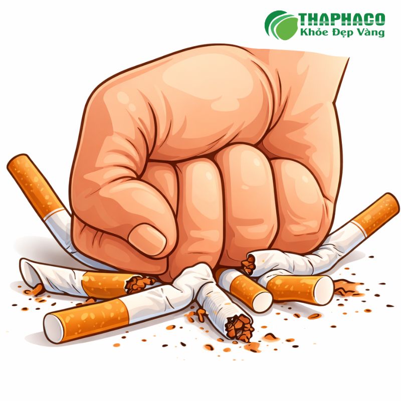 Lưu Ý Quan Trọng Khi Sử Dụng Dược Liệu Hỗ Trợ Phổi