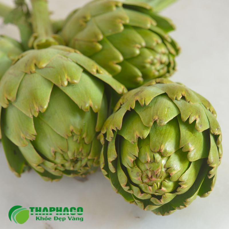 Giải Pháp Hỗ Trợ Sức Khỏe Thận Từ Dược Liệu Thaphaco Sạch, Nguyên Chất và Hiệu Quả