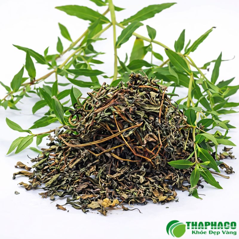 Thaphaco áp dụng quy trình kiểm soát chất lượng chặt chẽ
