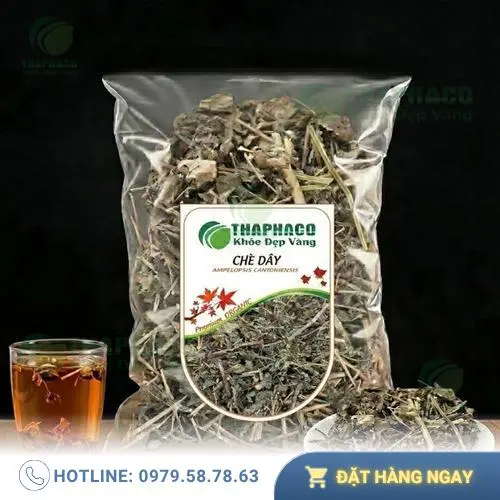 Hình ảnh búp chè dây tươi non của THAPHACO, nguyên liệu chọn lọc cho sức khỏe.