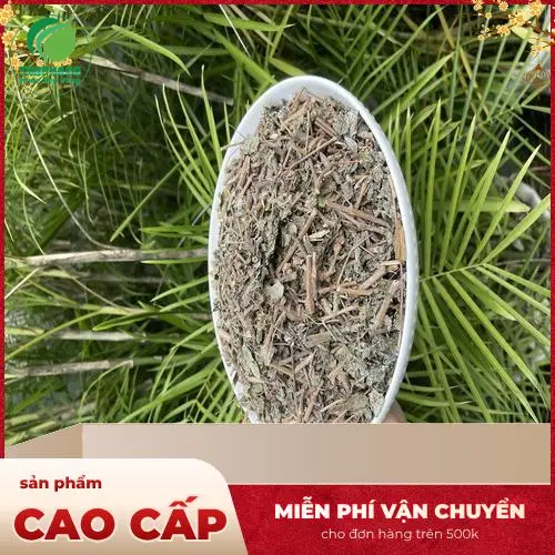 Quy trình chế biến chè dây của Dược Liệu THAPHACO đạt chuẩn vệ sinh an toàn.
