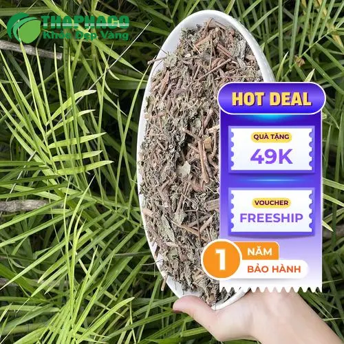 Chè dây THAPHACO khô đã được chế biến và đóng gói sẵn sàng sử dụng.