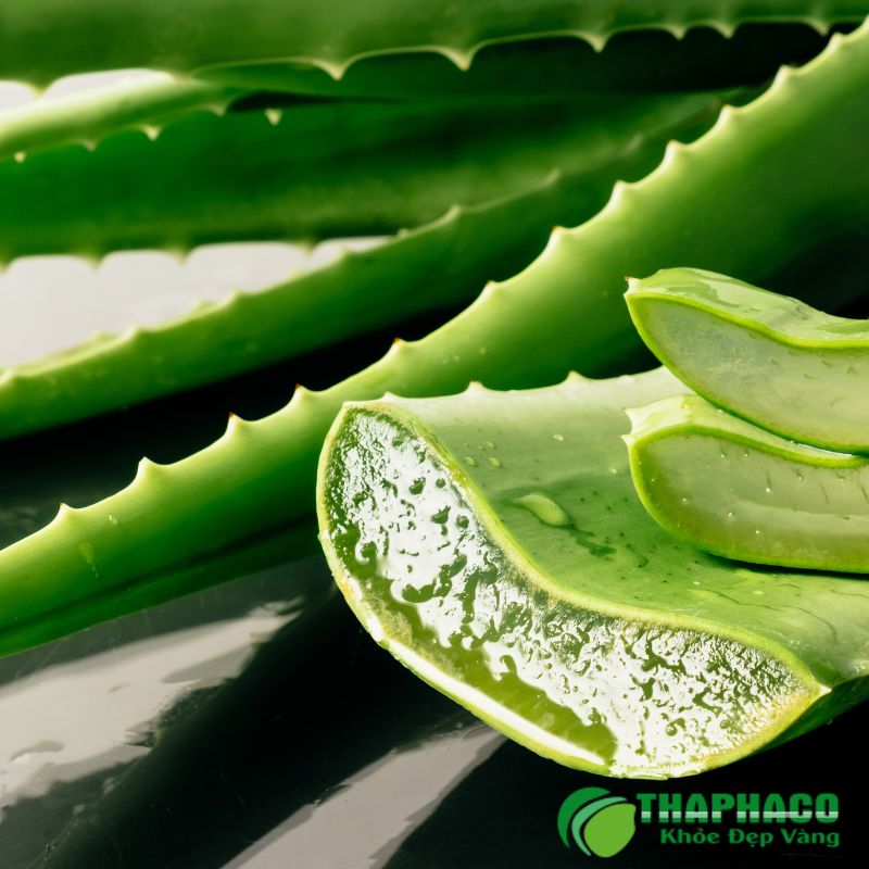 Thaphaco tự hào là thương hiệu dược liệu uy tín, cam kết cung cấp sản phẩm sạch, nguyên chất