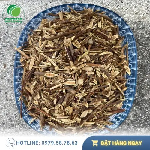 Gai Bồ Kết Thaphaco hỗ trợ điều trị mụn nhọt, ghẻ lở, viêm da