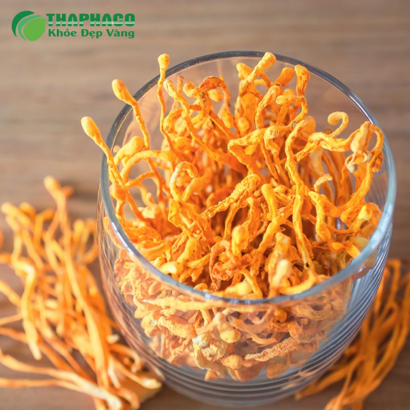 Thaphaco không chỉ là một thương hiệu dược liệu mà còn là người bạn đồng hành đáng tin cậy