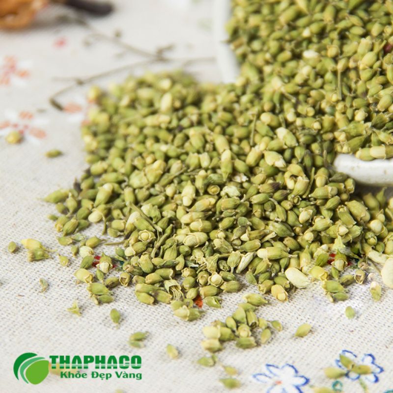 Hoa Hòe chứa Rutin giúp tăng cường độ bền thành mạch, giảm nguy cơ xuất huyết