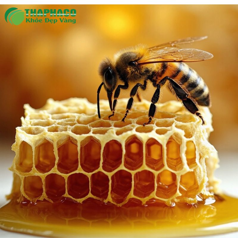 Thaphaco: Lựa Chọn Dược Liệu Sạch, Nguyên Chất, Đảm Bảo Hiệu Quả Hỗ Trợ Ho Gà
