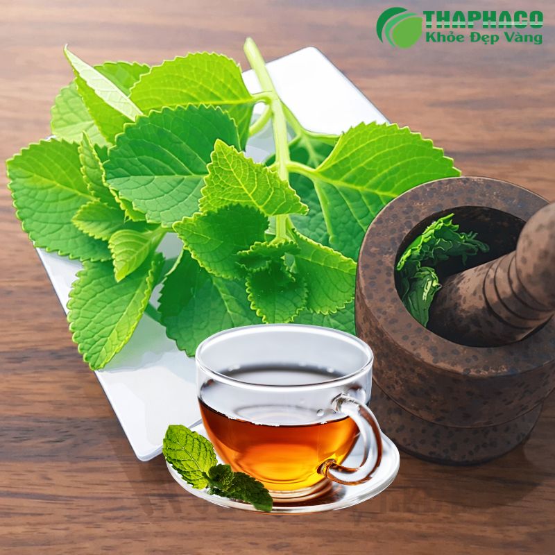 Hướng Dẫn Sử Dụng Dược Liệu Thaphaco Trị Ho Khan An Toàn, Hiệu Quả