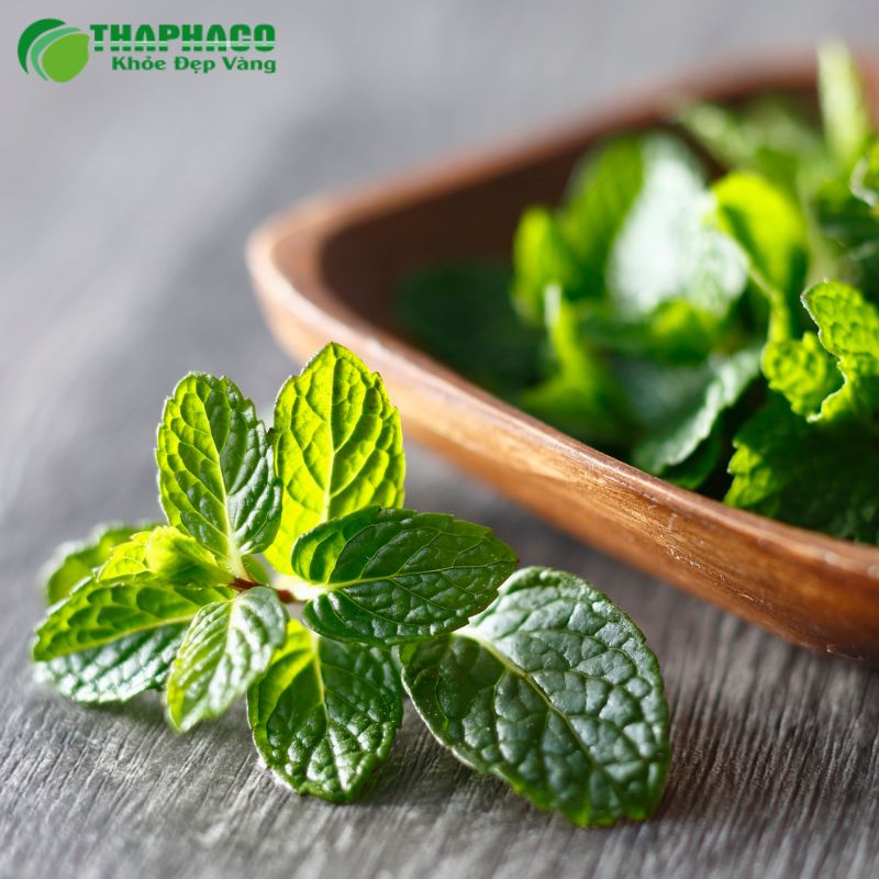 Thaphaco là lựa chọn hàng đầu cho dược liệu sạch, nguyên chất và hiệu quả
