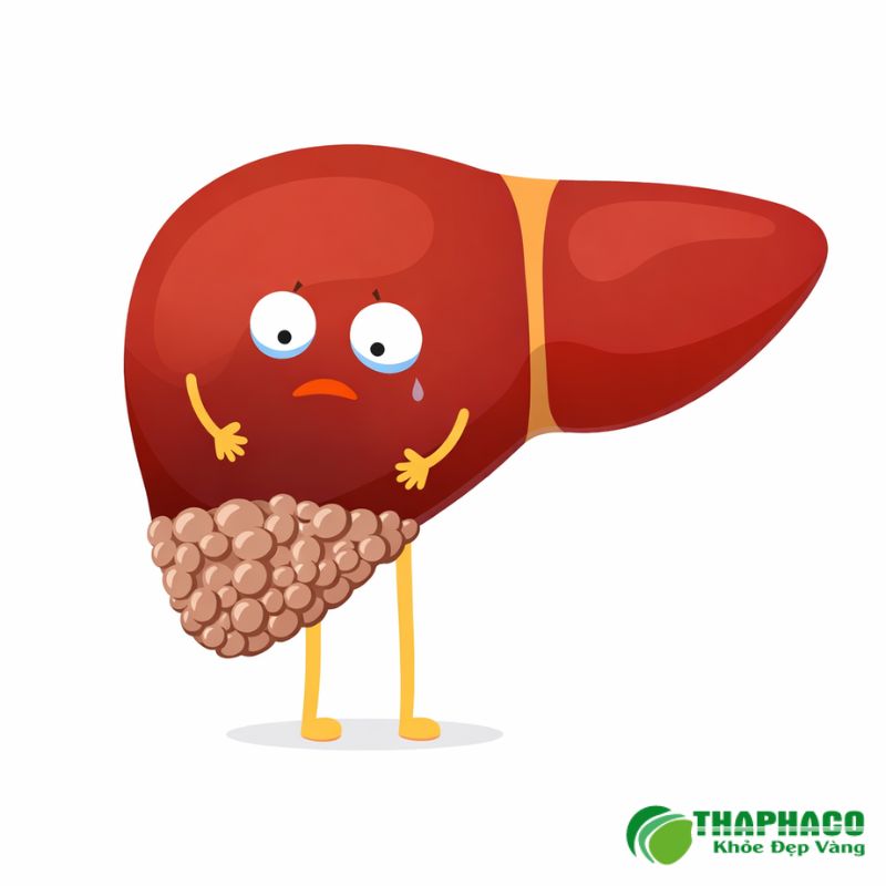 Nguyên nhân hình thành và các yếu tố nguy cơ của nang gan