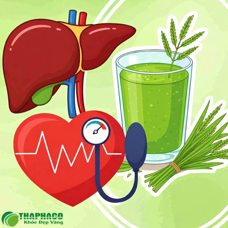 Dấu hiệu nhận biết ngộ độc gan do thảo dược