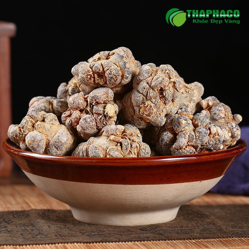 Tam thất bắc được biết đến là dược liệu quý với khả năng giảm viêm, tiêu u, và tăng cường sức đề kháng