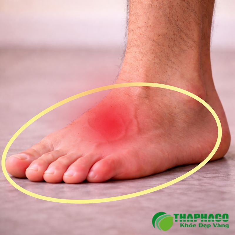 Dấu Hiệu và Triệu Chứng Của Nhịp Tim Chậm