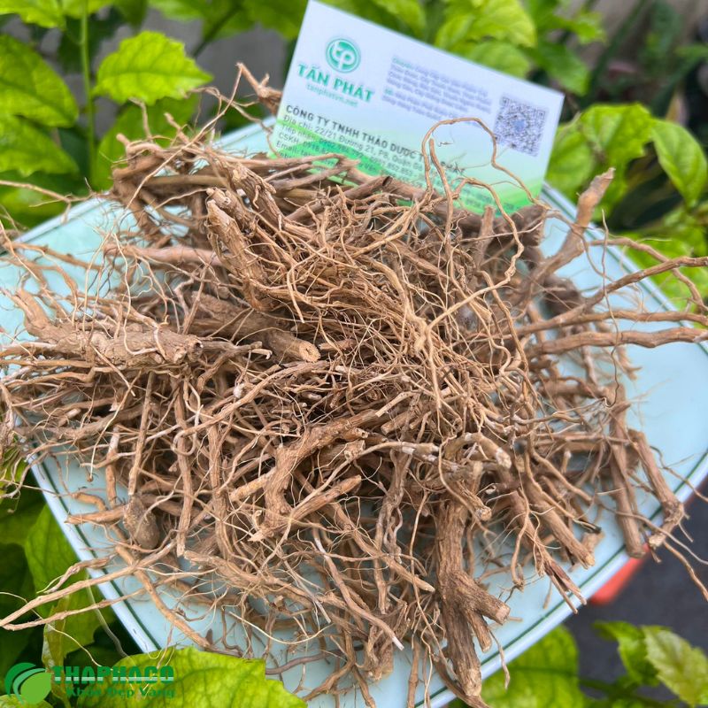 Thaphaco tự hào mang đến các sản phẩm dược liệu hỗ trợ gan chất lượng cao