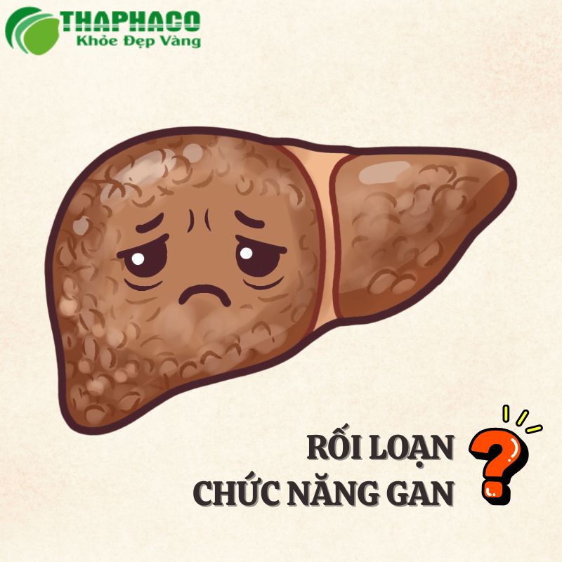 rối loạn chức năng gan là gì