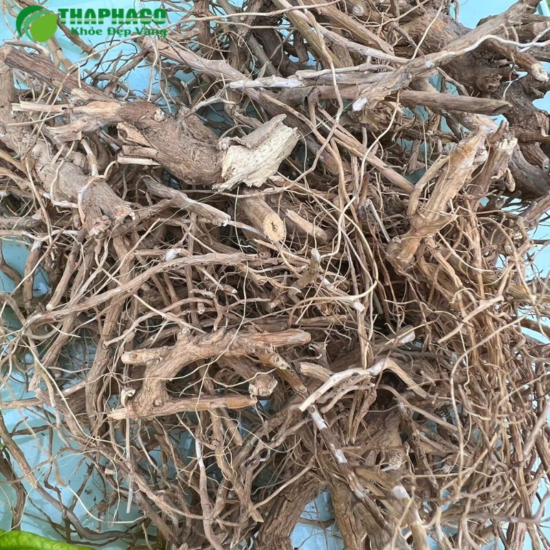 Giải pháp hỗ trợ và Điều trị rối loạn chức năng gan hiệu quả