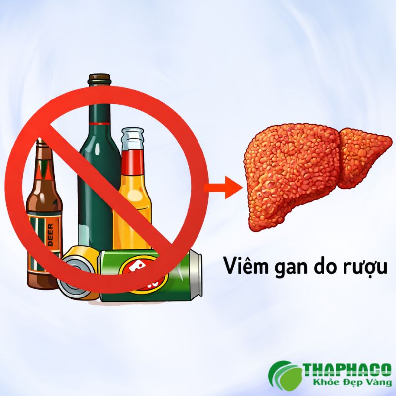 Tổn thương gan do rượu là một chuỗi bệnh lý nghiêm trọng