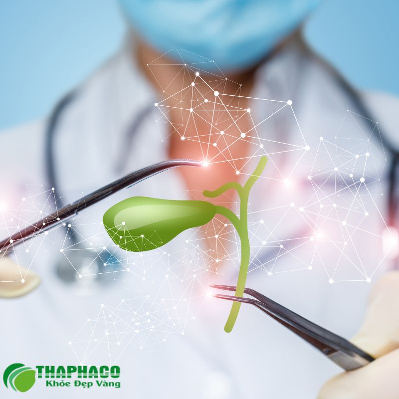 Túi mật co rút gây rối loạn tiêu hóa chất béo, ảnh hưởng đến gan và tụy