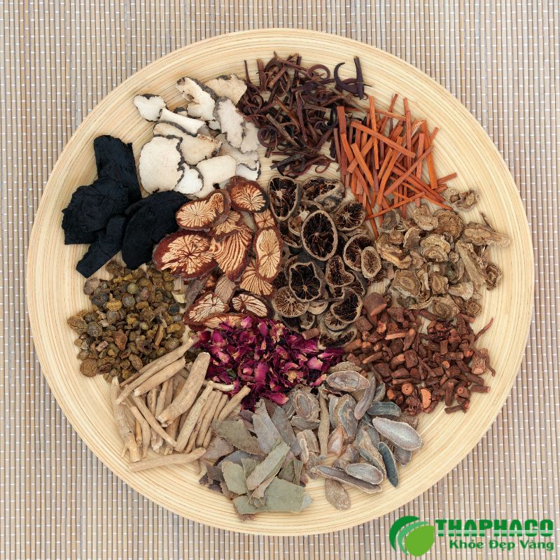 Thaphaco Cung Cấp Dược Liệu Sạch, Nguyên Chất Cho Sức Khỏe Vàng Của Bạn