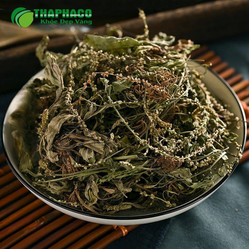 Các dược liệu hỗ trợ sức khỏe thận từ Thaphaco