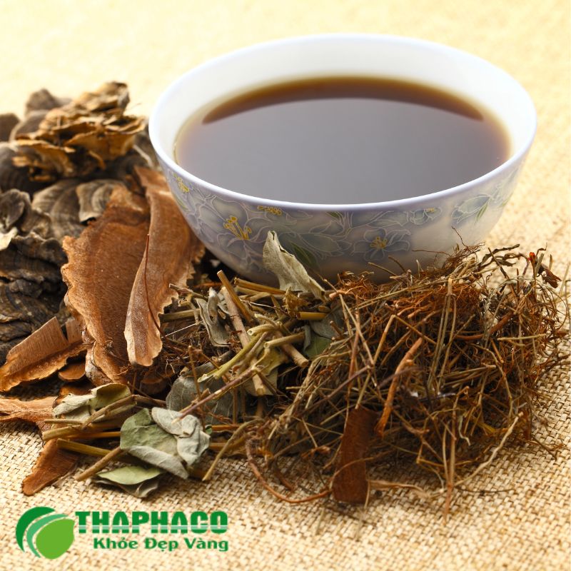 Lá Mơ Lông là một dược liệu quý với khả năng giảm co thắt, kháng viêm và hỗ trợ tiêu hóa
