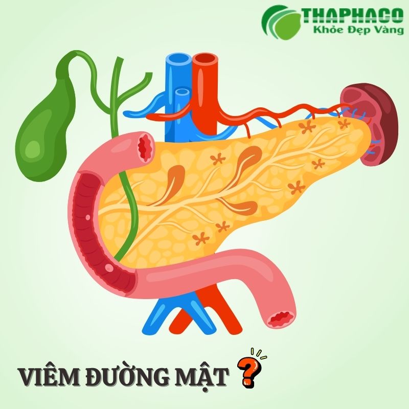 viêm đường mật là gì