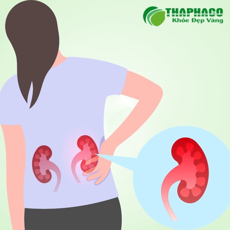 Viêm đường mật thường xuất phát từ sự tắc nghẽn và nhiễm khuẩn