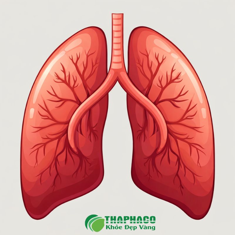 Dược liệu thiên nhiên Thaphaco có thể hỗ trợ giảm viêm, tăng cường miễn dịch 