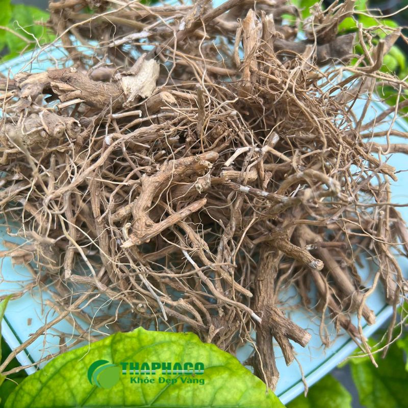 Thaphaco Hỗ Trợ Sức Khỏe Phụ Khoa Từ Dược Liệu Sạch, Nguyên Chất