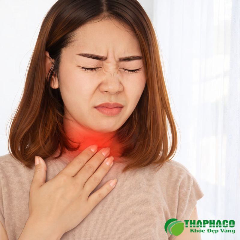Thaphaco là nơi cung cấp dược liệu hỗ trợ viêm thanh quản hiệu quả tại TP.HCM