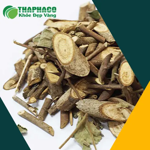 Hình ảnh tổng quan cây An Xoa khô đã được chế biến tại THAPHACO