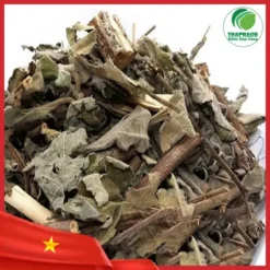 1kg Cây An Xoa Giá Bao Nhiêu? Đánh Giá Chất Lượng THAPHACO