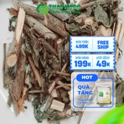 Địa chỉ bán cây an xoa chất lượng tại TP.HCM