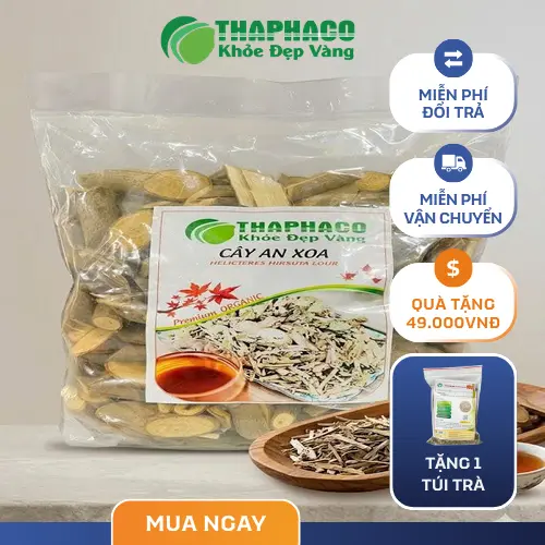 Hình ảnh hướng dẫn cách sắc nước cây An Xoa tại nhà