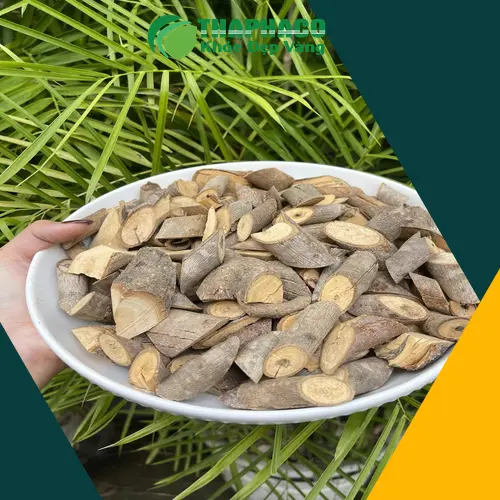 Minh họa cách sắc thuốc cây an xoa đúng chuẩn