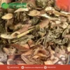 Địa Chỉ Cung Cấp Sỉ Lẻ Bạch Đồng Nữ Khô Giá Tốt THAPHACO