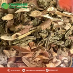Địa Chỉ Cung Cấp Sỉ Lẻ Bạch Đồng Nữ Khô Giá Tốt THAPHACO