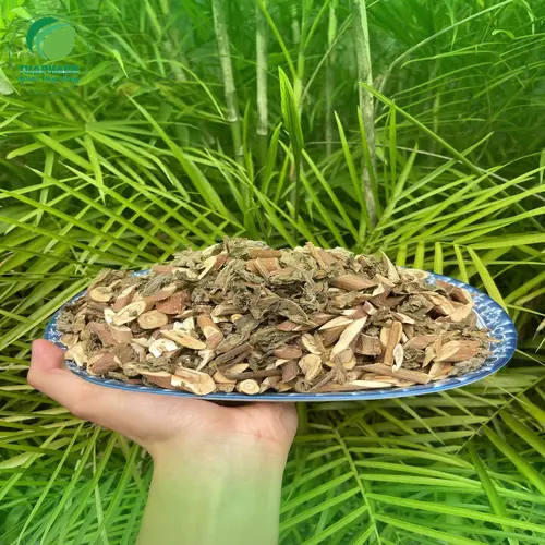 Công dụng của Bạch Đồng Nữ với sức khỏe
