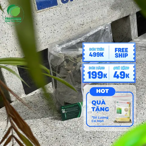 Bạch Đồng Nữ khô đã được sơ chế và cắt lát tại THAPHACO