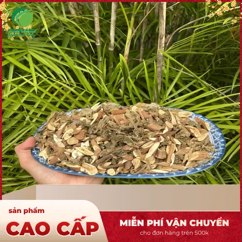 Bạch Đồng Nữ giá rẻ tại THAPHACO