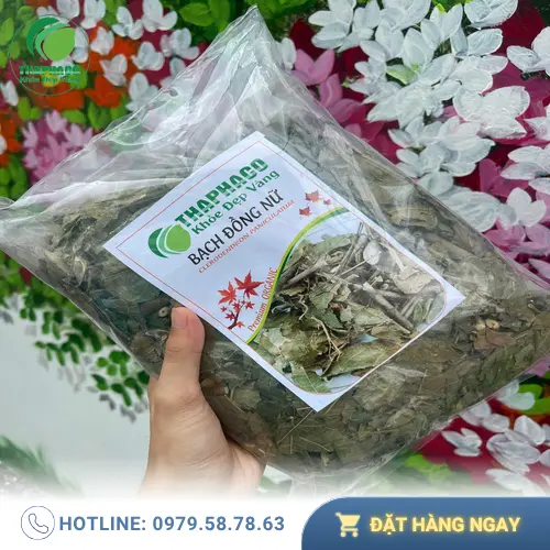 Hình ảnh lá Bạch Đồng Nữ được phơi khô cẩn thận