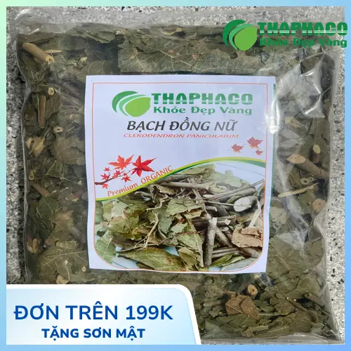 Quy trình chế biến Bạch Đồng Nữ tại THAPHACO