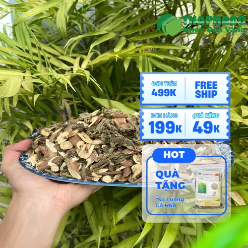 Bạch đồng nữ khô đóng gói tại THAPHACO