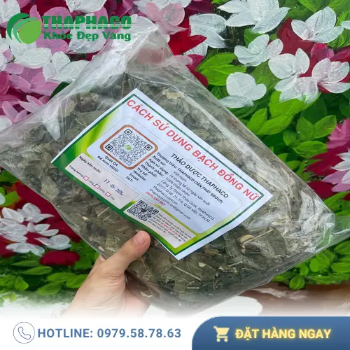 Một ly trà Bạch Đồng Nữ đã pha sẵn sàng để thưởng thức
