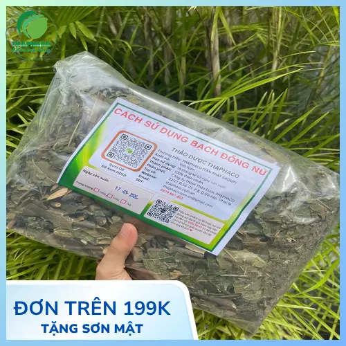 Cách sử dụng bạch đồng nữ khô hiệu quả