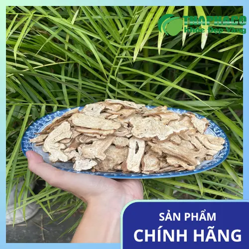Hình ảnh củ bạch truật tươi tự nhiên
