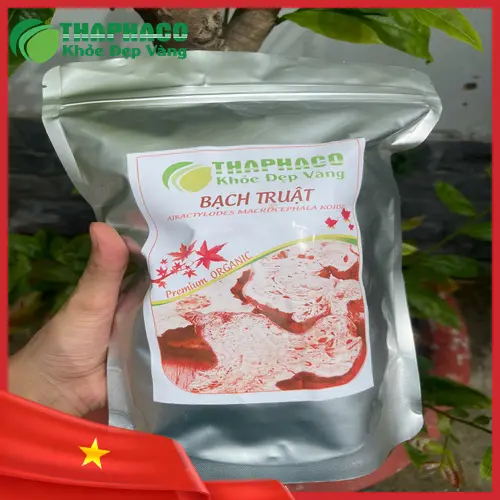 Bạch Truật - Dược liệu quý trong Y học cổ truyền