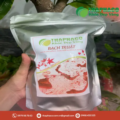 Bạch Truật khô được cắt lát tỉ mỉ, đảm bảo chất lượng đồng đều