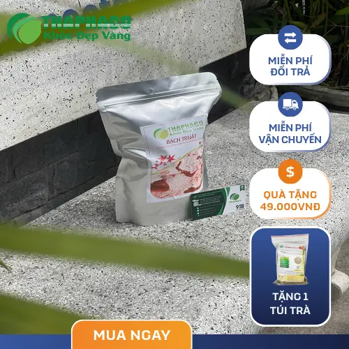 Đóng gói Bạch Truật THAPHACO chuyên nghiệp, giữ gìn chất lượng